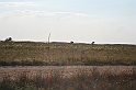 Karpaty+Krym 06.2007 225